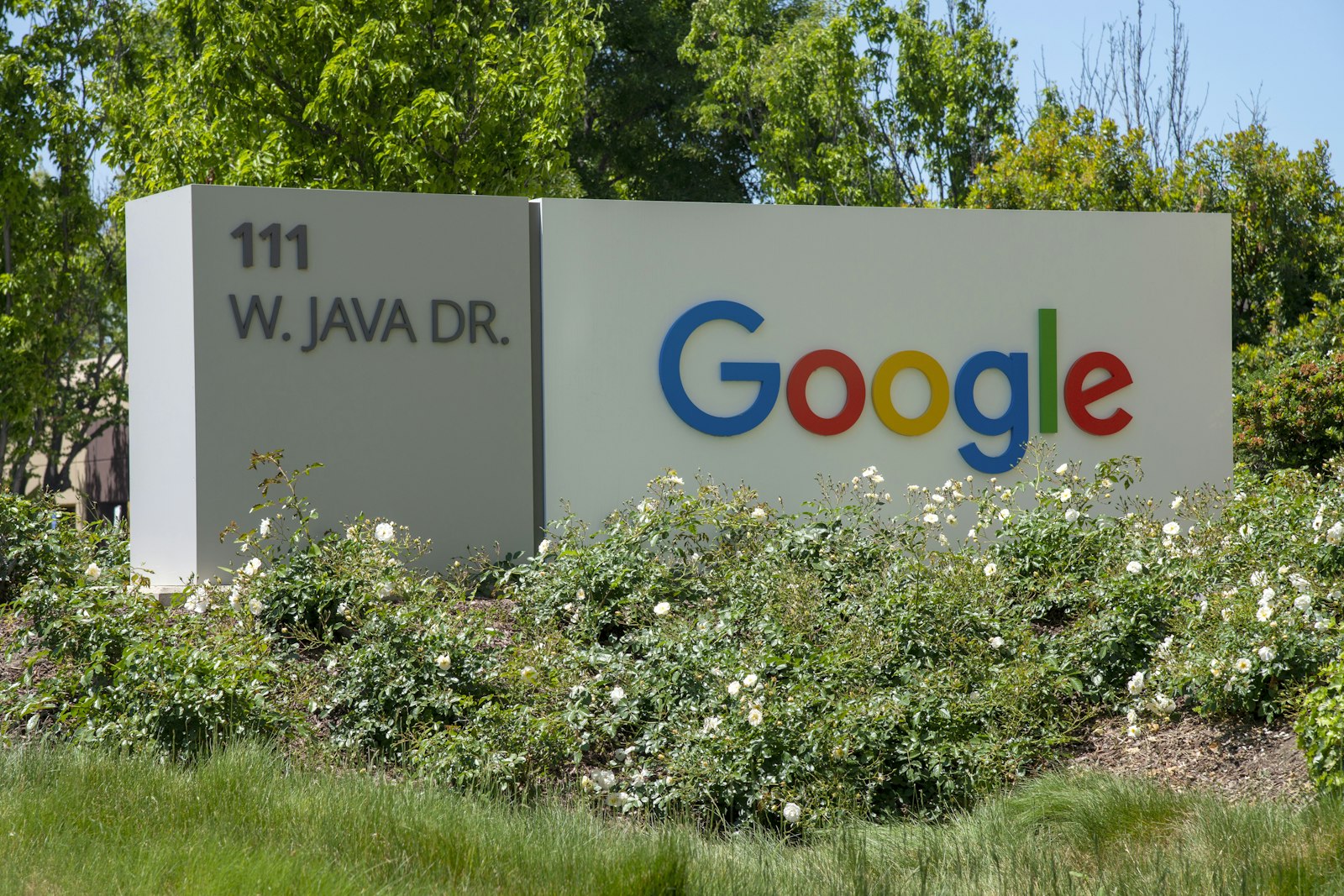 Silicon Valley