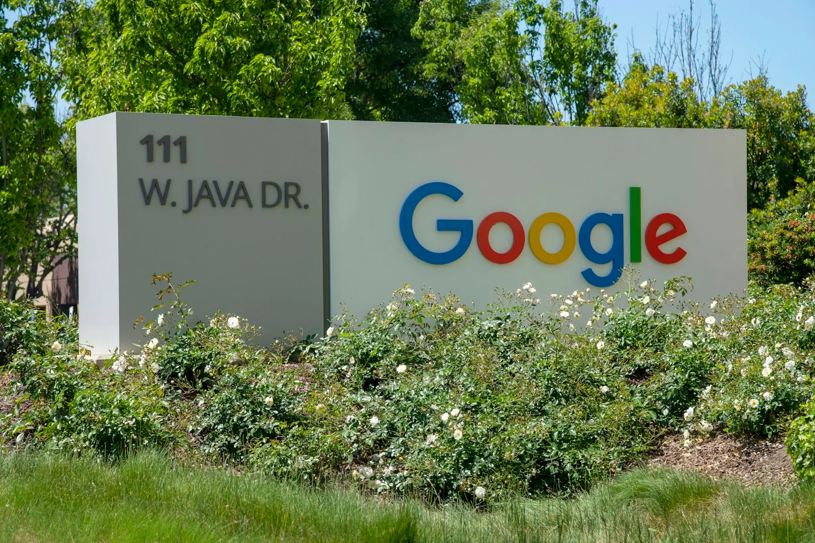 Tech HQ Pilgrimage Plus — private Bay Area tour by Peace Limo