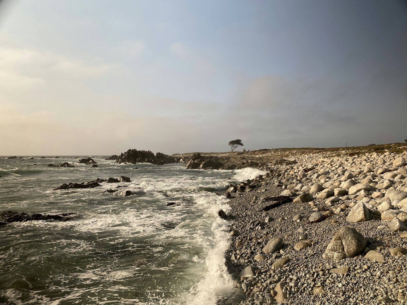 Pacific waves on rocky shore