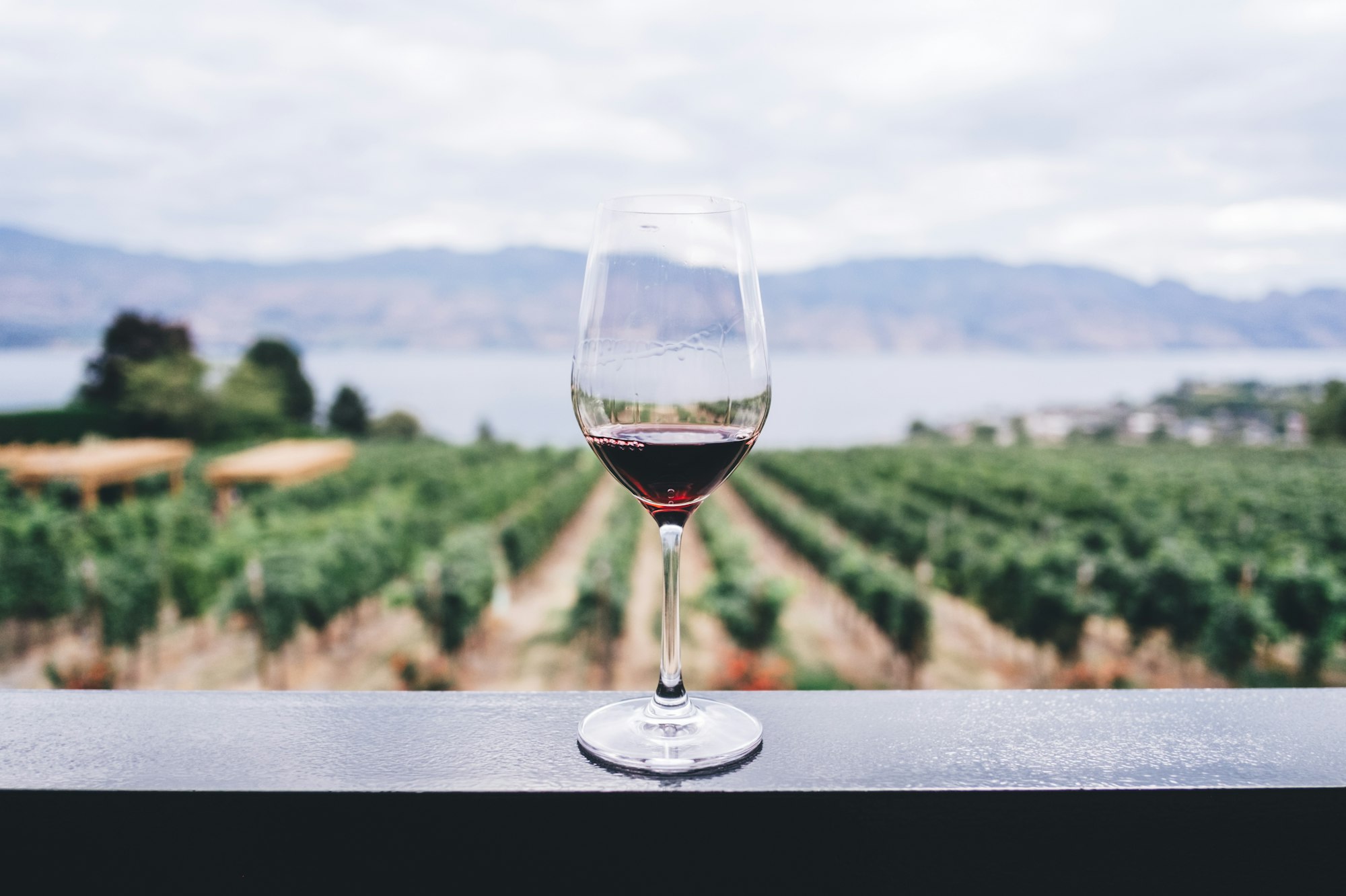 Napa Valley landscape