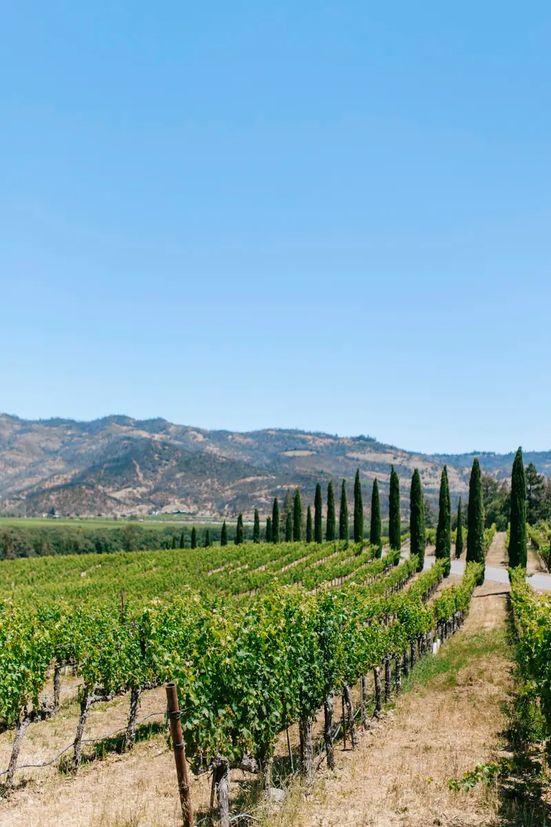 Napa and Sonoma Wine Country