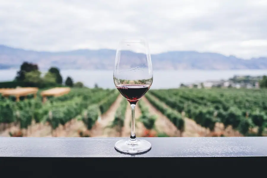 Napa Valley landscape