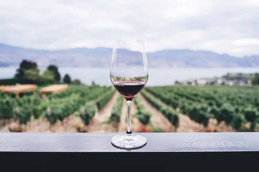 Glass of red wine overlooking a Napa Valley vineyard — private wine tour